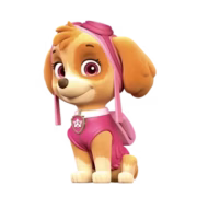 Paw Patrol Girl