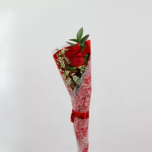 Single red rose