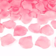 Pink rose petals