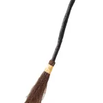 Witch broom