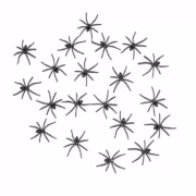 Black plastic spiders