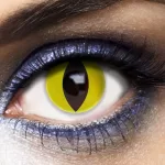 Yellow cat eye