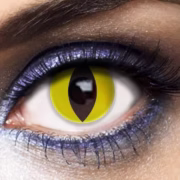 Yellow cat eye