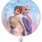 frozen paper plate