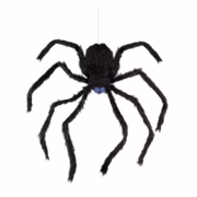 Animated spider
