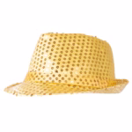 Pop star hat