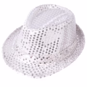 Pop star hat silver