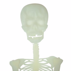 Glow in the dark skeleton 150cm -24074- - Image 3