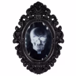 Haunted Mirror -24629-