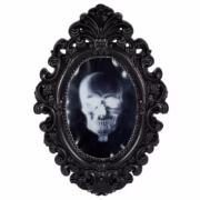 Haunted Mirror -24629-
